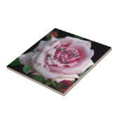 AFBEELDINGSGRACE- TEGELTJE (Zijkant)