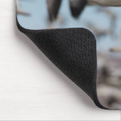 Afblazen in de Socorrohemden Muismat (Hoek)