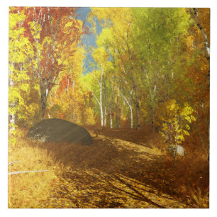 Afdalende lichte decoratieve tegel tegeltje