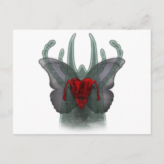  afdekking briefkaart (Voorkant)