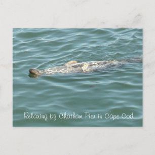 Afdichting drijvend op de achterkant van Chatham P Briefkaart