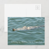 Afdichting drijvend op de achterkant van Chatham P Briefkaart (Voorkant / Achterkant)