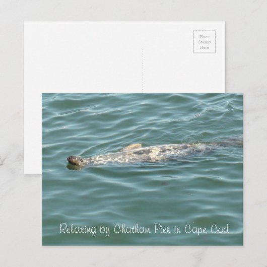 Afdichting drijvend op de achterkant van Chatham P Briefkaart (Voorkant / Achterkant)