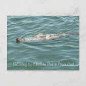 Afdichting drijvend op de achterkant van Chatham P Briefkaart (Voorkant)