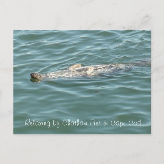 Afdichting drijvend op de achterkant van Chatham P Briefkaart (Voorkant)