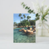 Afdichtingen en Zeeen leeuwen Briefkaart (Staand voorkant)