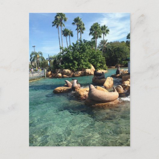 Afdichtingen en Zeeen leeuwen Briefkaart (Voorkant)