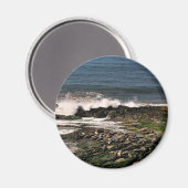 Afdichtingen Magneet (Voorkant / Achterkant)