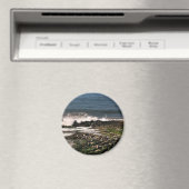 Afdichtingen Magneet (Insitu (Vaatwasser))