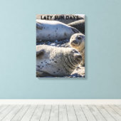 Afdichtingen Ontspannen op Zand en Pebbles Canvas Afdruk (Insitu (Houten vloer))