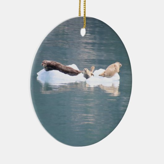 Afdichtingen ornament (Rechts)