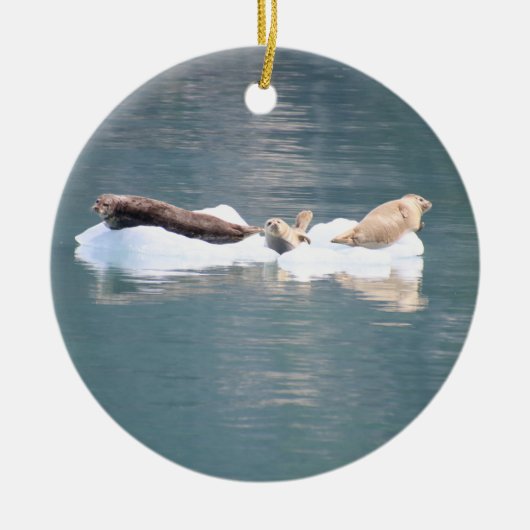 Afdichtingen ornament (Voorkant)