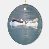 Afdichtingen ornament (Links)