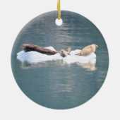 Afdichtingen ornament (Achterkant)