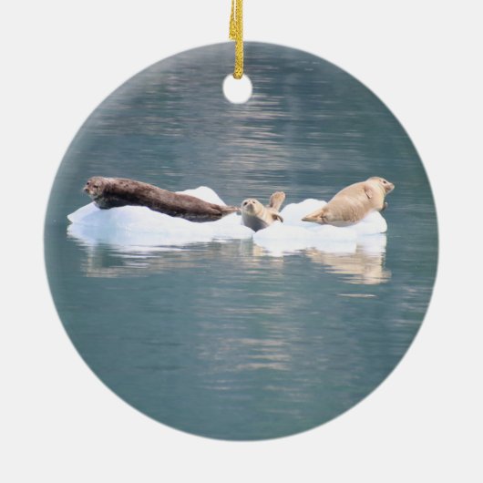 Afdichtingen ornament (Achterkant)