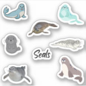 Afdichtingen Stickers (Voorkant)