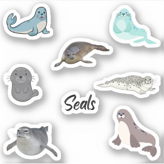 Afdichtingen Stickers (Voorkant)