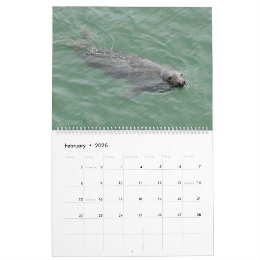 Afdichtingen van Cape Cod Kalender (Feb 2026)