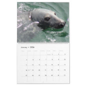 Afdichtingen van Cape Cod Kalender (Jan 2026)