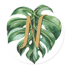 Afdichtingen van tropisch Initiaal