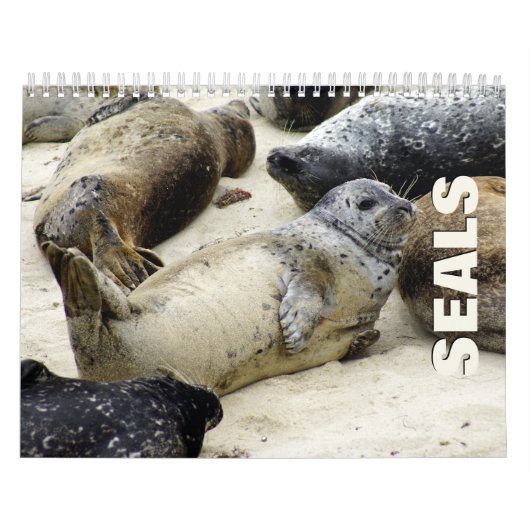 Afdichtingen wandkalender kalender (Hoes)