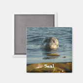 afdichtingsmagneet magneet (Voorkant / Achterkant)