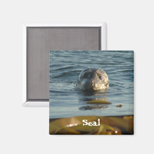 afdichtingsmagneet magneet (Voorkant / Achterkant)