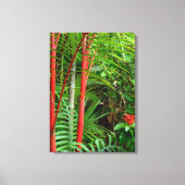 Afdichtingswashandpalmen Canvas Afdruk (Voorkant)