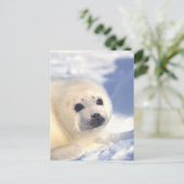 Afdichtingszijde Briefkaart (Staand voorkant)