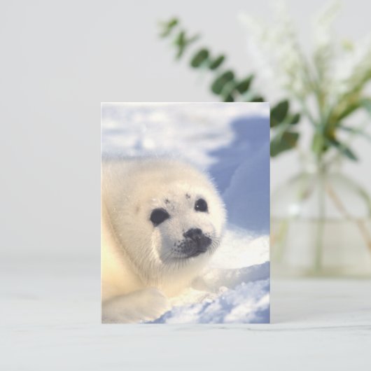 Afdichtingszijde Briefkaart (Staand voorkant)