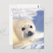 Afdichtingszijde Briefkaart (Voorkant / Achterkant)