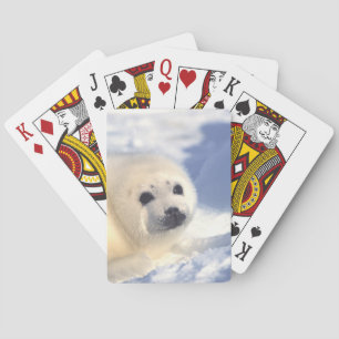 Afdichtingszijde Pokerkaarten