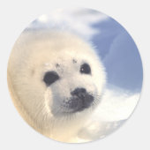 Afdichtingszijde Ronde Sticker (Voorkant)