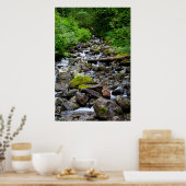 Afdruk Bergbestrantstroom Poster (Keuken)