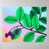 Afdruk "Blackberries on a Branch" met rand Poster (Voorkant)