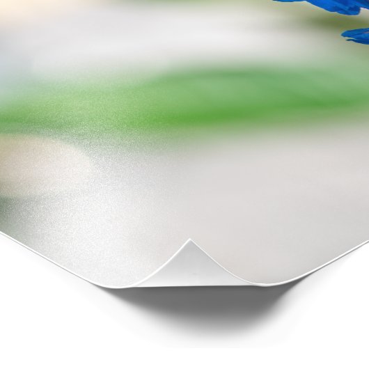 Afdruk blauw bezoek bij een bij (middelgroot: 12 x (Hoek)