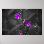 Afdruk brandblusslijm poster (Voorkant)