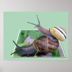 Afdruk buiten de grenzen poster