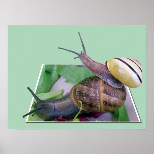 Afdruk buiten de grenzen poster (Voorkant)