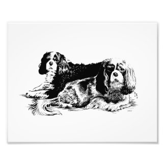 Afdruk Chloe en Ollie