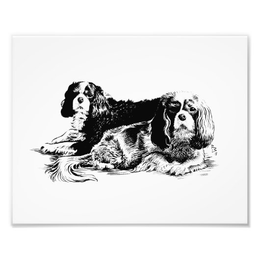 Afdruk Chloe en Ollie (Voorkant)