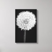 Afdruk Dandelion Canvas (Voorkant)