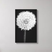 Afdruk Dandelion Canvas