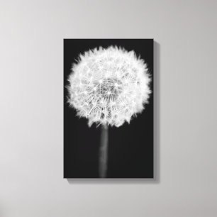 Afdruk Dandelion Canvas