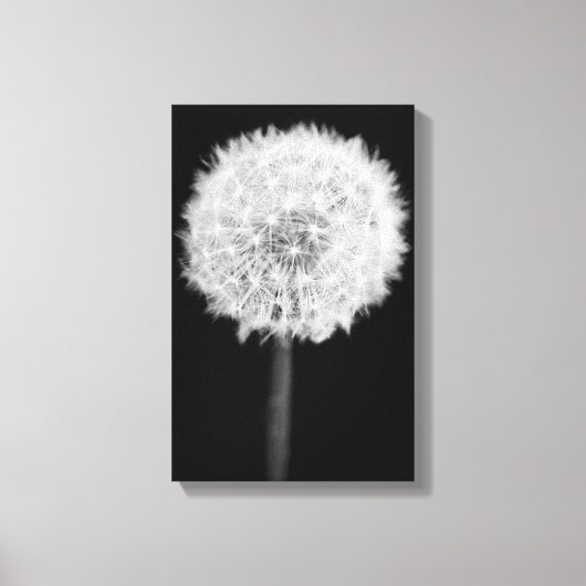 Afdruk Dandelion Canvas (Voorkant)