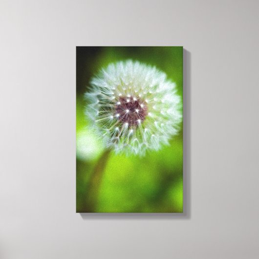 Afdruk Dandelion Canvas (Voorkant)