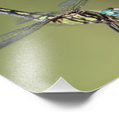 afdruk, dragonfly met Vortex-ogen Foto Afdruk (Hoek)