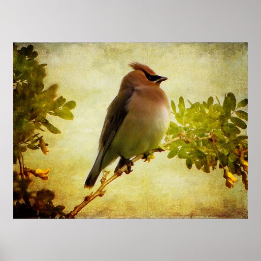 Afdruk getextureerd Poster met cedar-was (Voorkant)