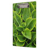 Afdruk groene holblad klembord (Links)