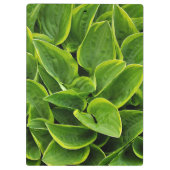 Afdruk groene holblad klembord (Achterkant)